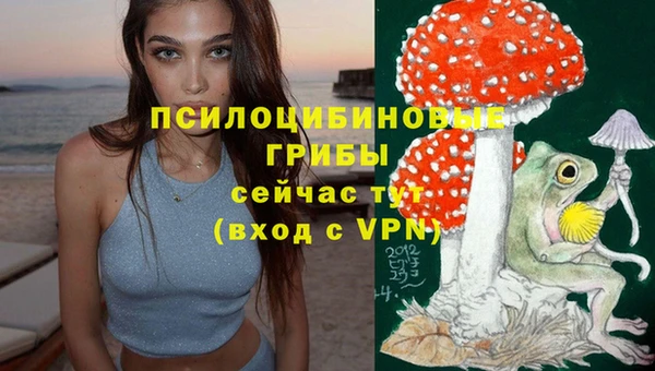 бошки Арсеньев