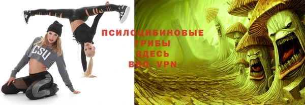 бошки Арсеньев