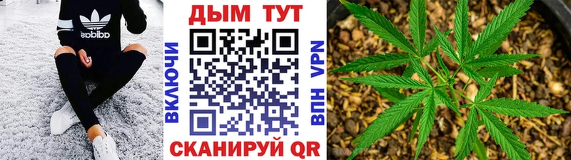 Канабис план  Сысерть 
